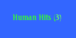 hiddenHumanHitMsg3