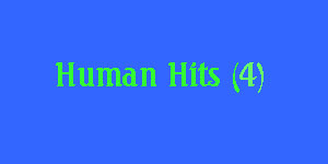hiddenHumanHitMsg4